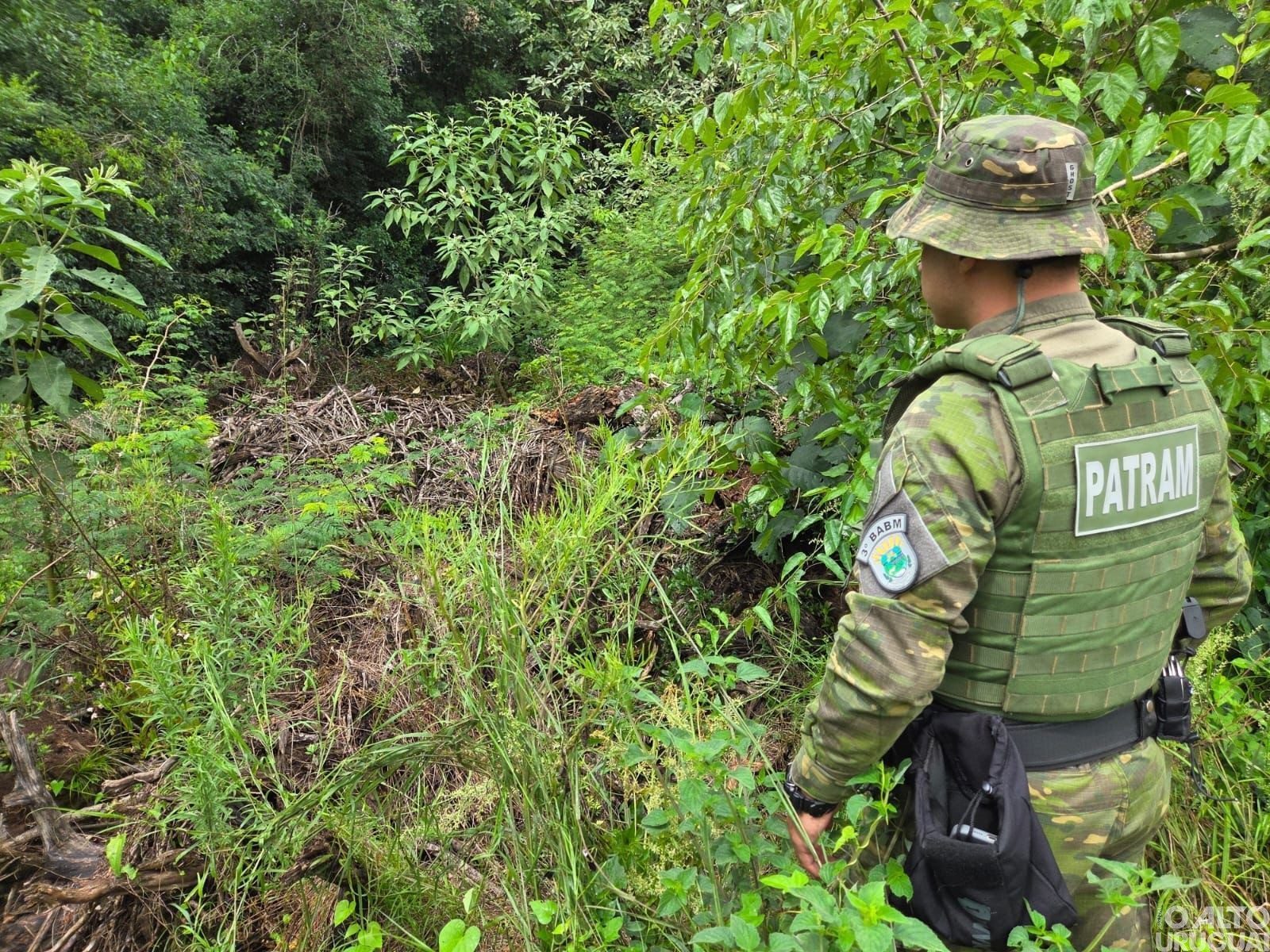 Brigada Militar flagra desmatamentos em Novo Tiradentes e Jaboticaba