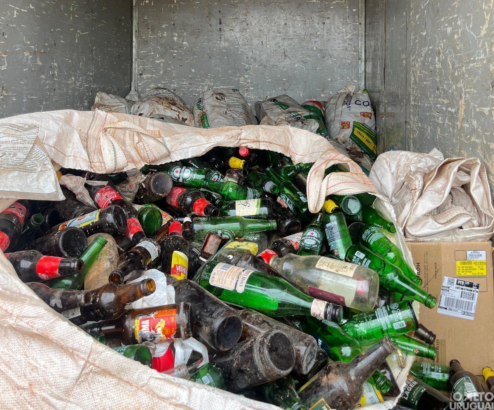 Campanha de recolhimento de vidros arrecada 700 kg em Novo Tiradentes