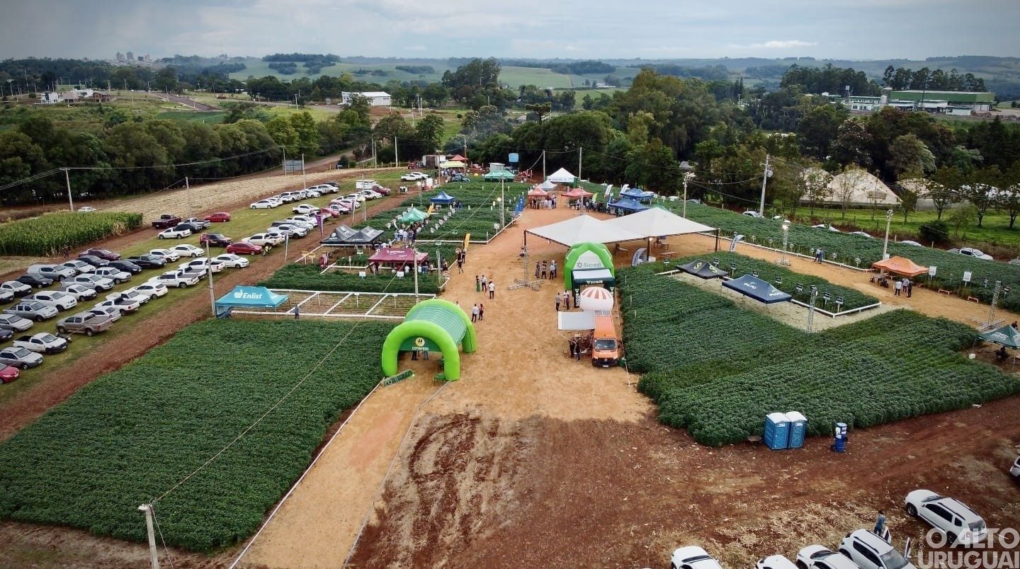 Noite de Campo de Soja da Cotrifred acontece em 6 de março