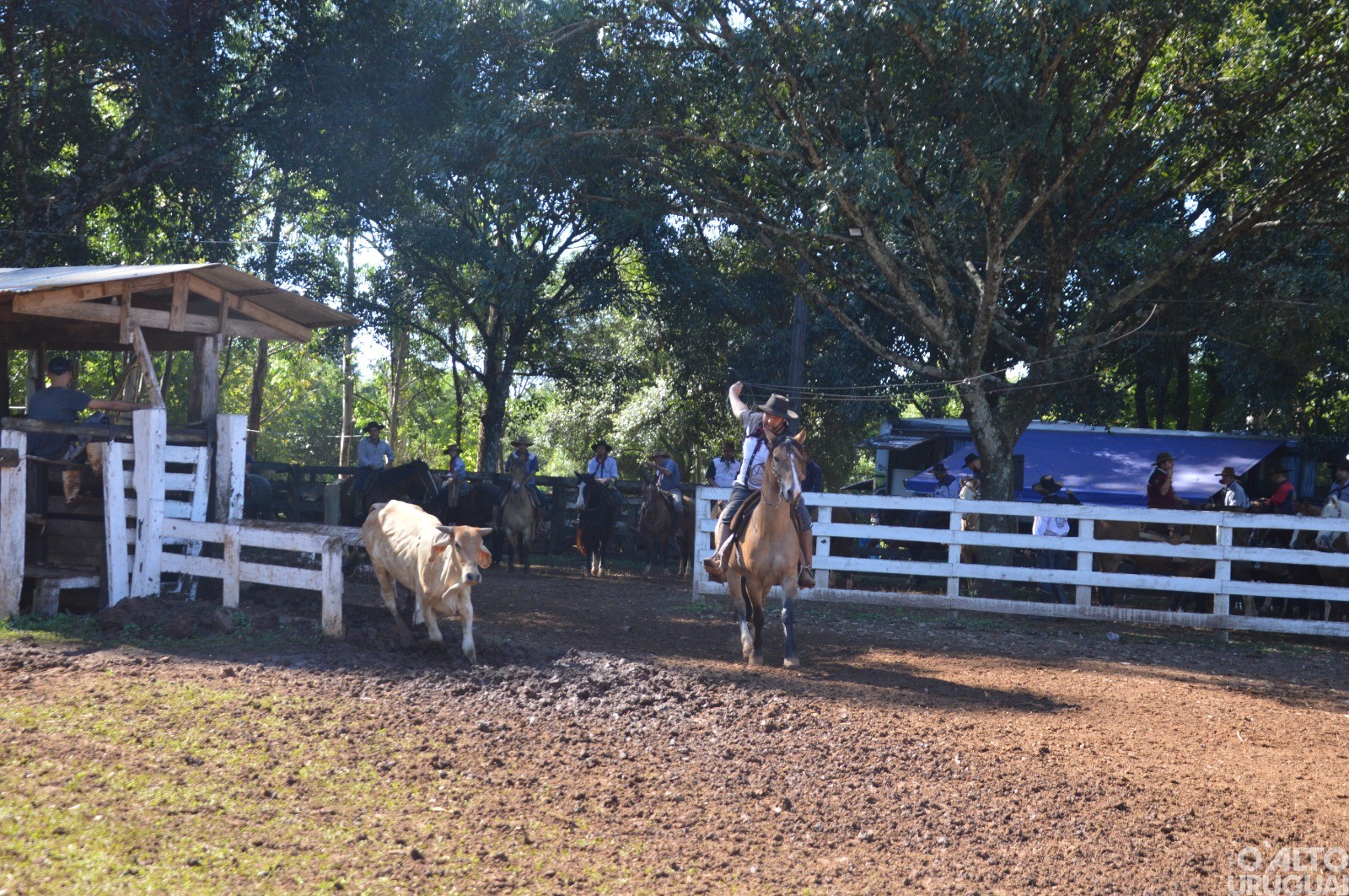 Rodeio Crioulo de FW encerra neste domingo