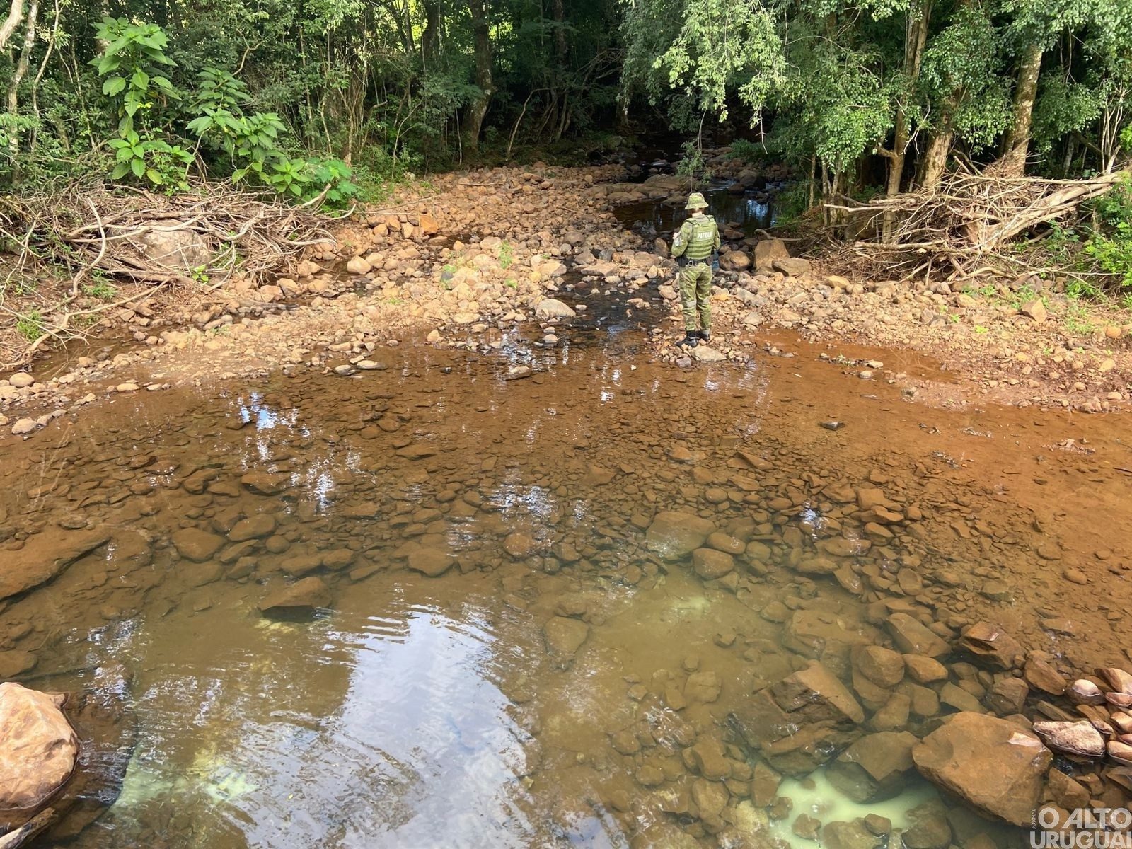 Poluição hídrica provoca mortandade de peixes no Rio Lambedor em Frederico Westphalen