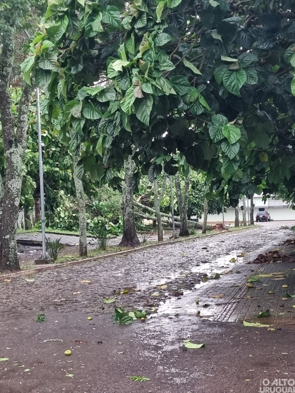 Forte temporal deixa rastro de destruição e muitos prejuízos na região