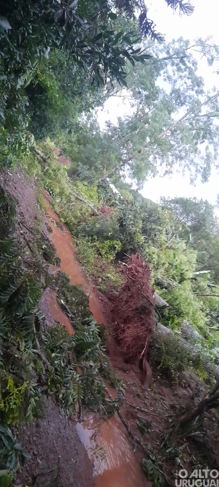 Municípios entram em situação de emergência