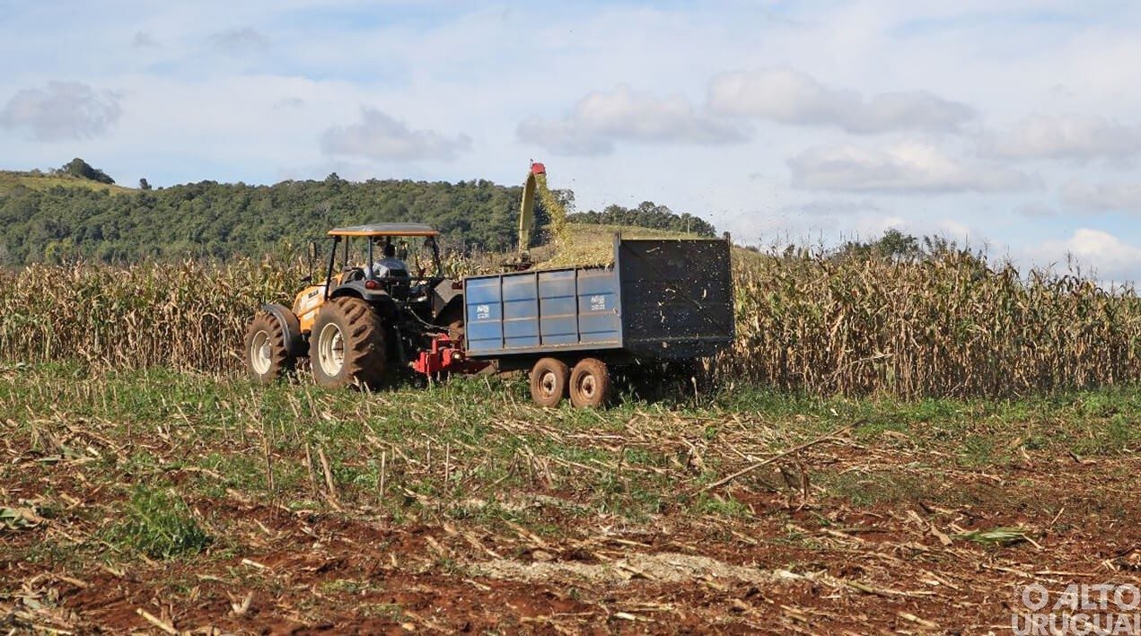 Secretaria de Agricultura de Novo Tiradentes auxilia produtores rurais na produção de silagem