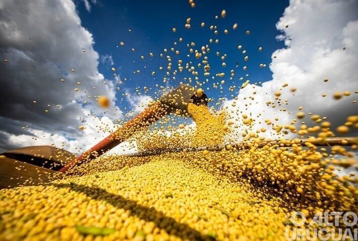Exportação do agronegócio fecha em alta de 32% em 2022