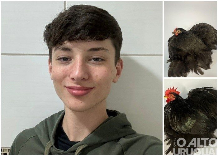 Iraiense participa de competição internacional de aves