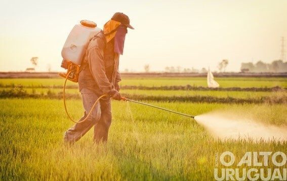 Nova regulamentação dos defensivos agrícolas traz flexibilidade aos produtores