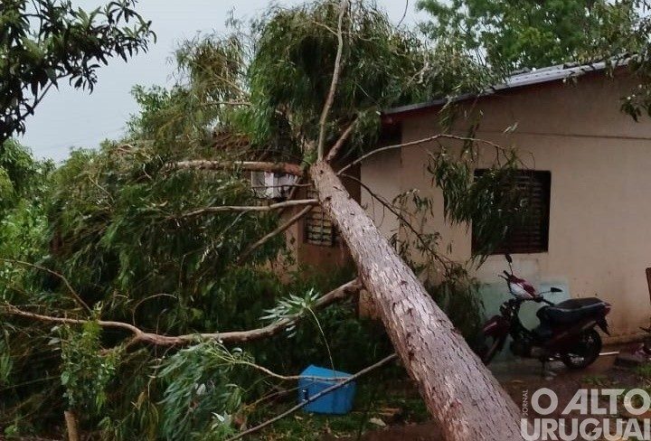 Região registra estragos em virtude do temporal