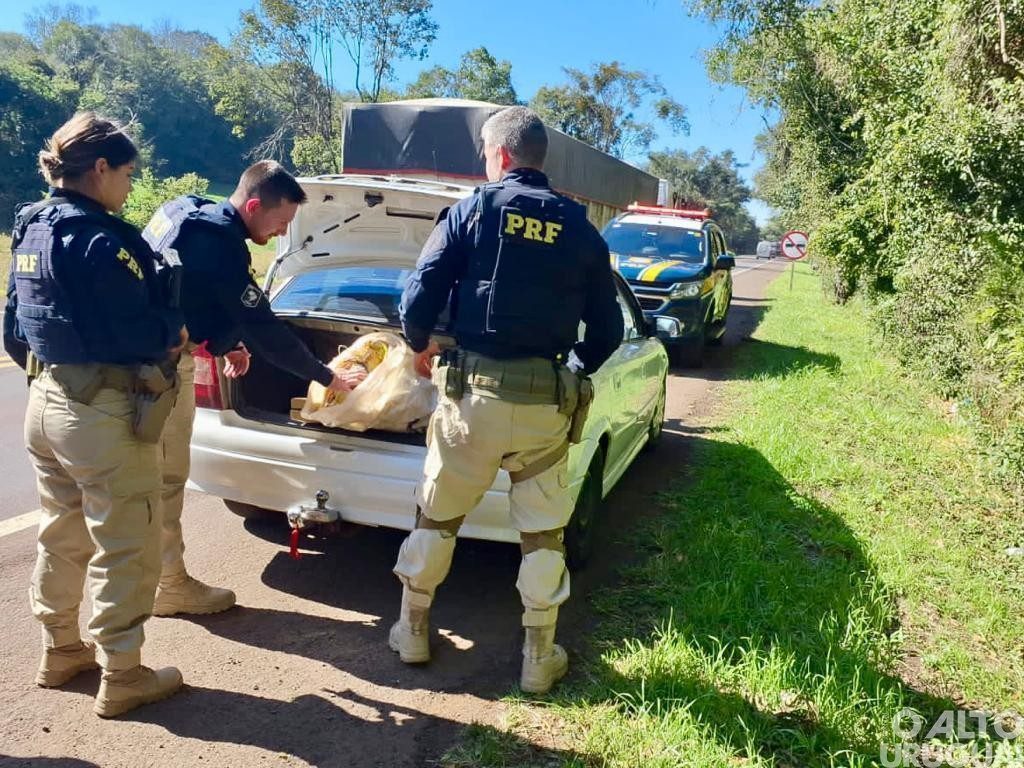 PRF prende traficante com 50 quilos de maconha e skunk na BR-386