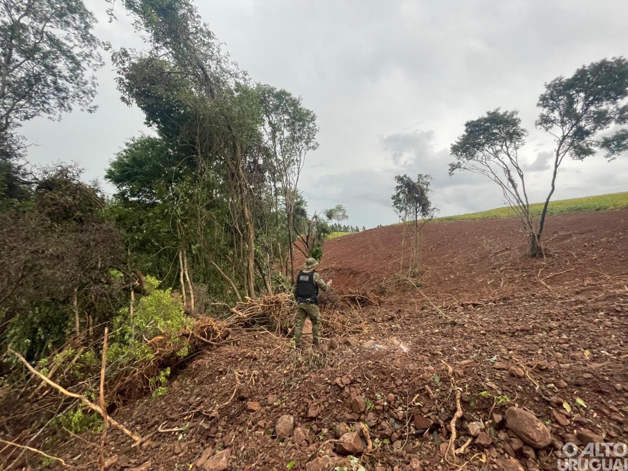 Batalhão Ambiental flagra desmatamento em Rodeio Bonito e Cristal do Sul