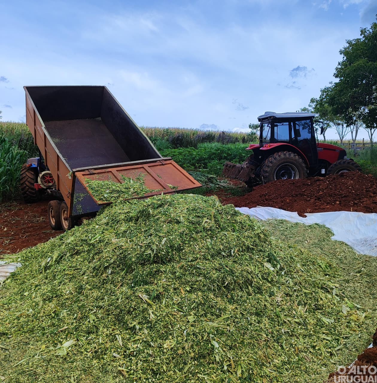 Patrulha Agrícola de Jaboticaba produz silagem para atender agricultores