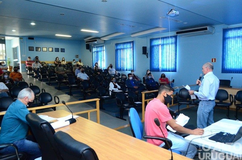 Morte de abelhas preocupa apicultores de Erval Seco