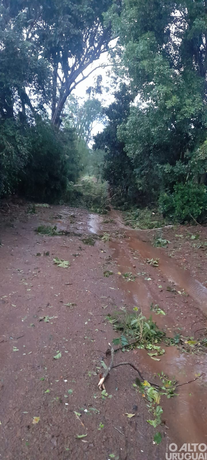 Municípios entram em situação de emergência