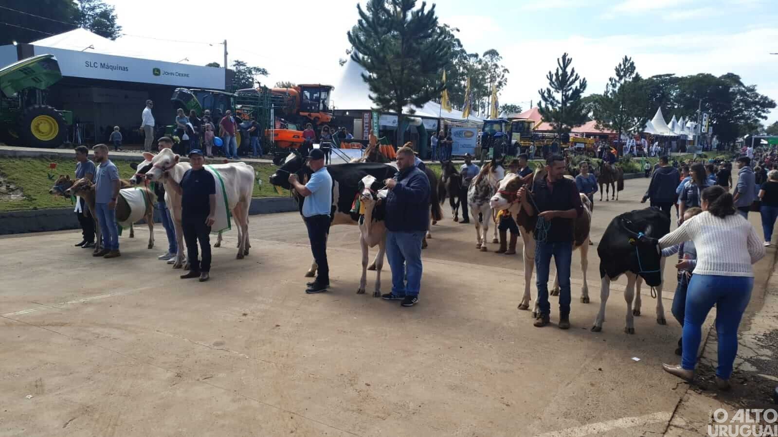 Animais campeões desfilam pela Expofred
