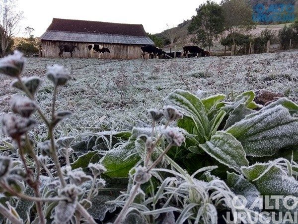 Nova onda de frio trará mais sol e menos umidade