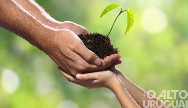 Cooperativas gaúchas somam R$ 8,1 bilhões de ingressos em 2022
