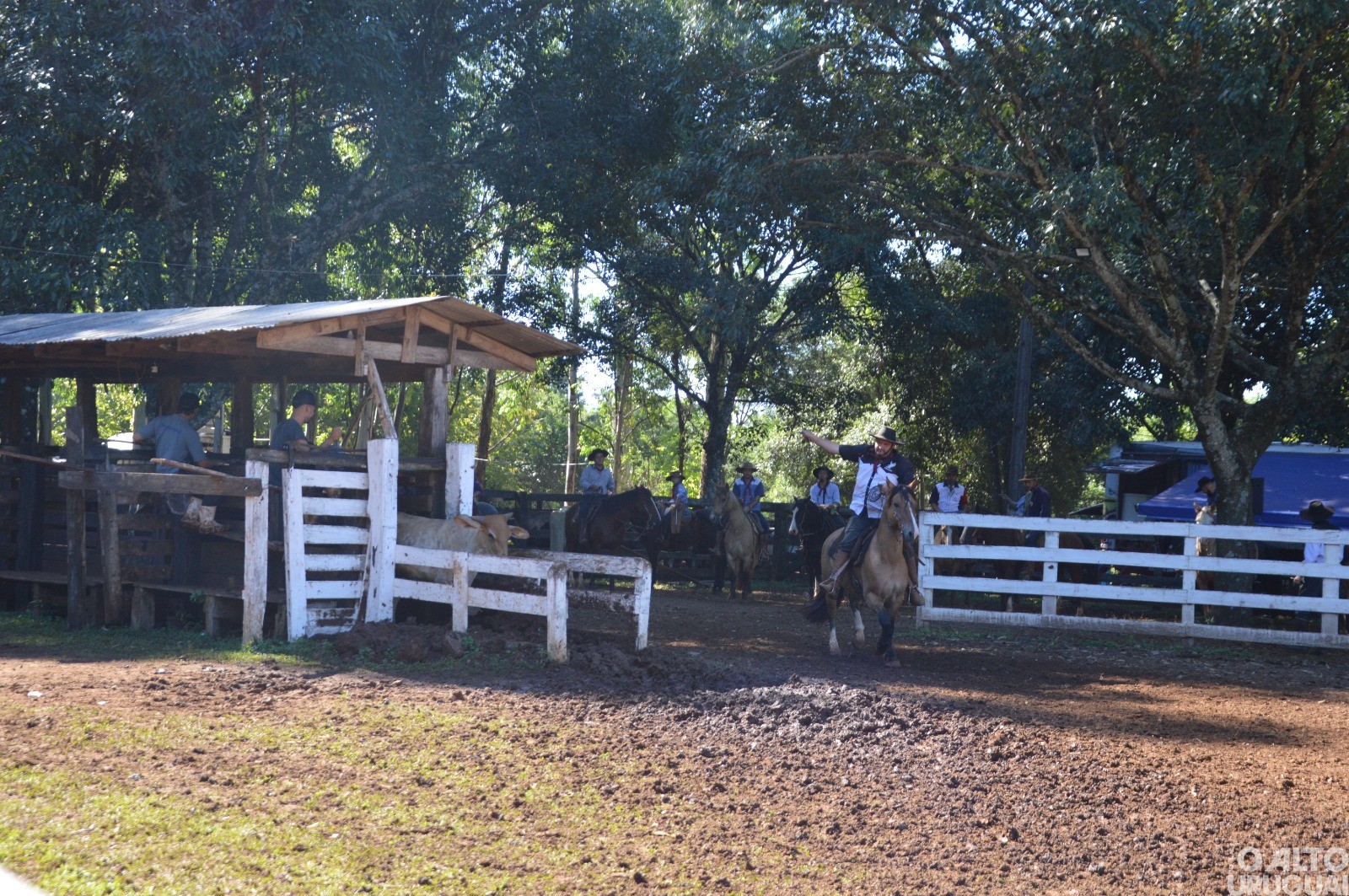 Rodeio Crioulo de FW encerra neste domingo
