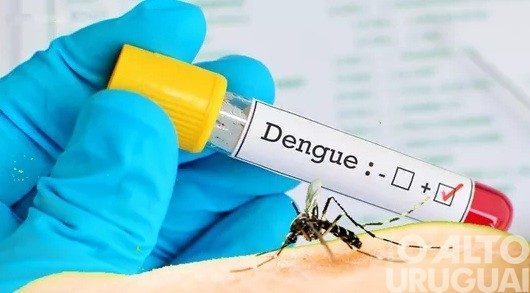 Vigilância em Saúde confirma primeira morte por dengue no RS em 2022