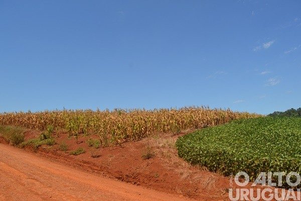 Governo dá 100% de anistia na dívida do Troca-Troca