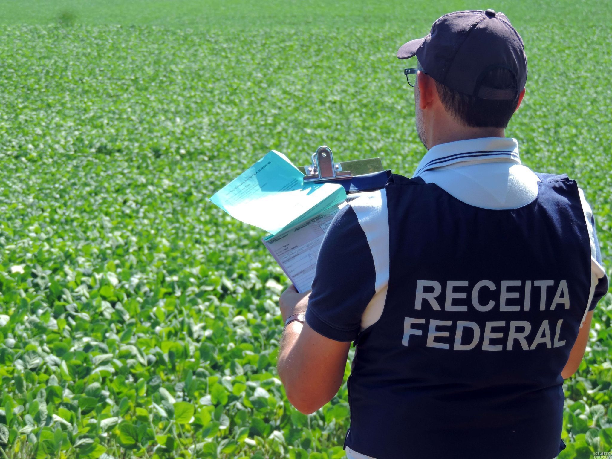 Receita Federal apura sonegação de imposto de renda na atividade rural