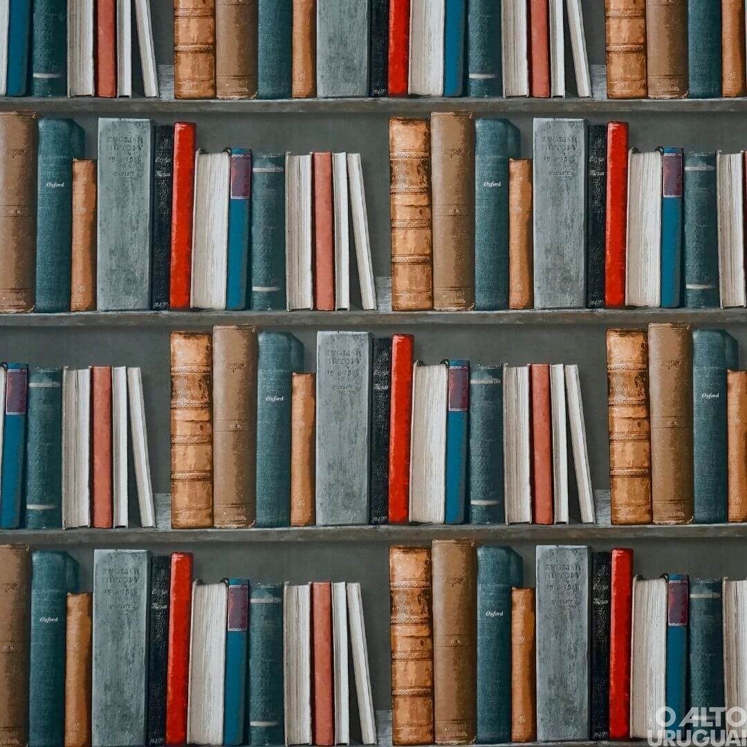 Smec de FW adota plataforma digital para auxiliar estudantes na leitura e escrita