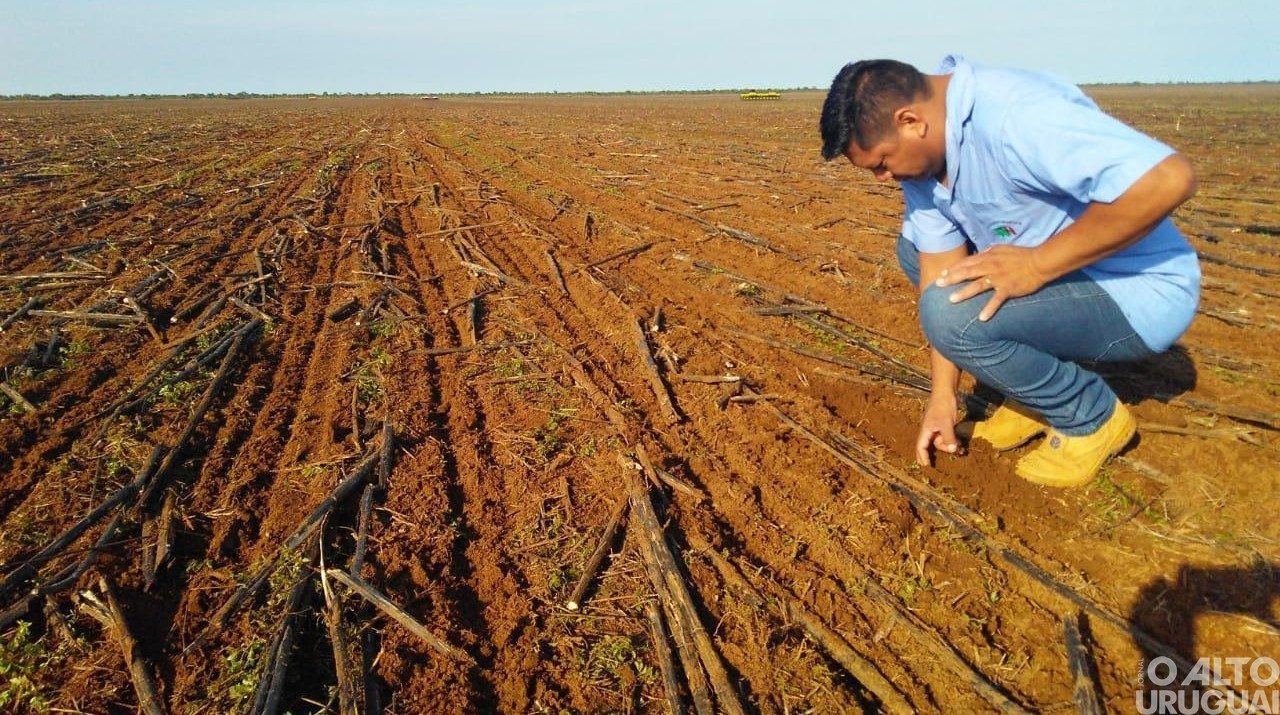 Produtores que tiveram perdas podem renegociar operações de crédito rural