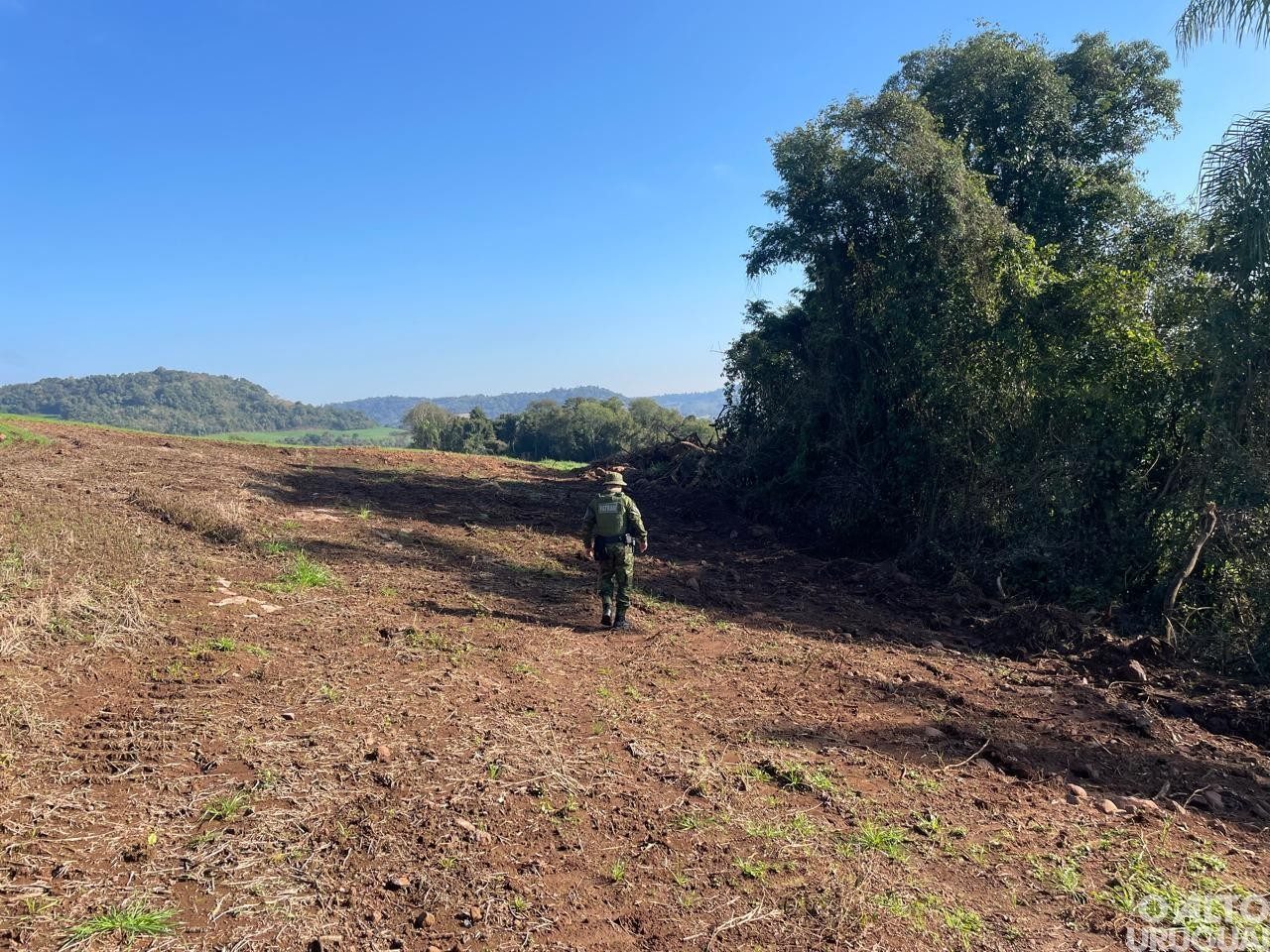 Desmatamento é flagrado em Pinhal