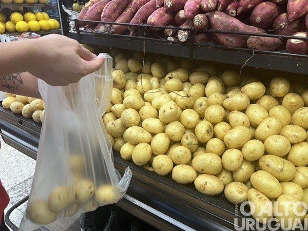 FW: cesta básica acumula aumento de R$ 47,14 em cinco meses