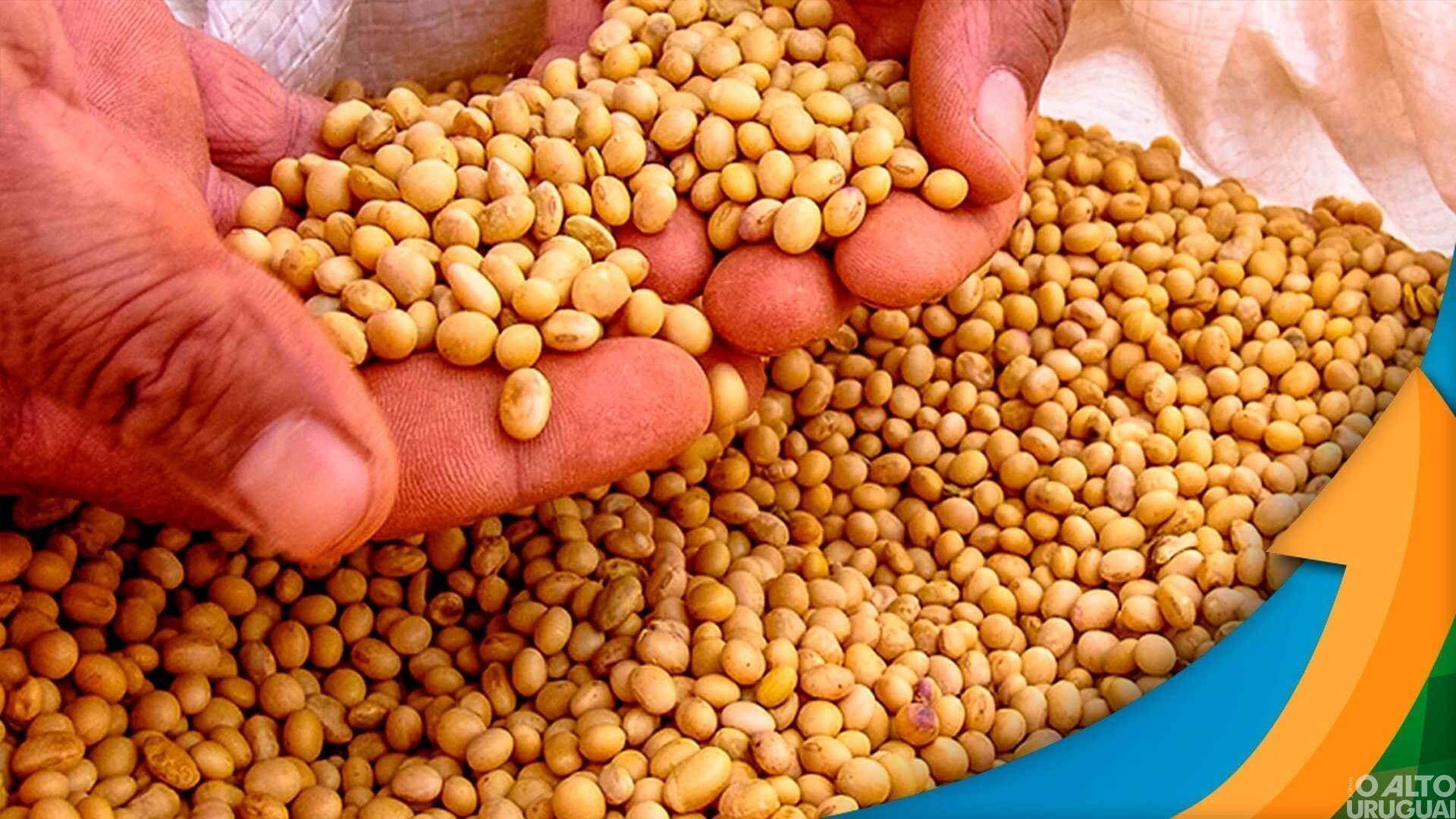 Estimativa da safra de grãos cai 1,2%