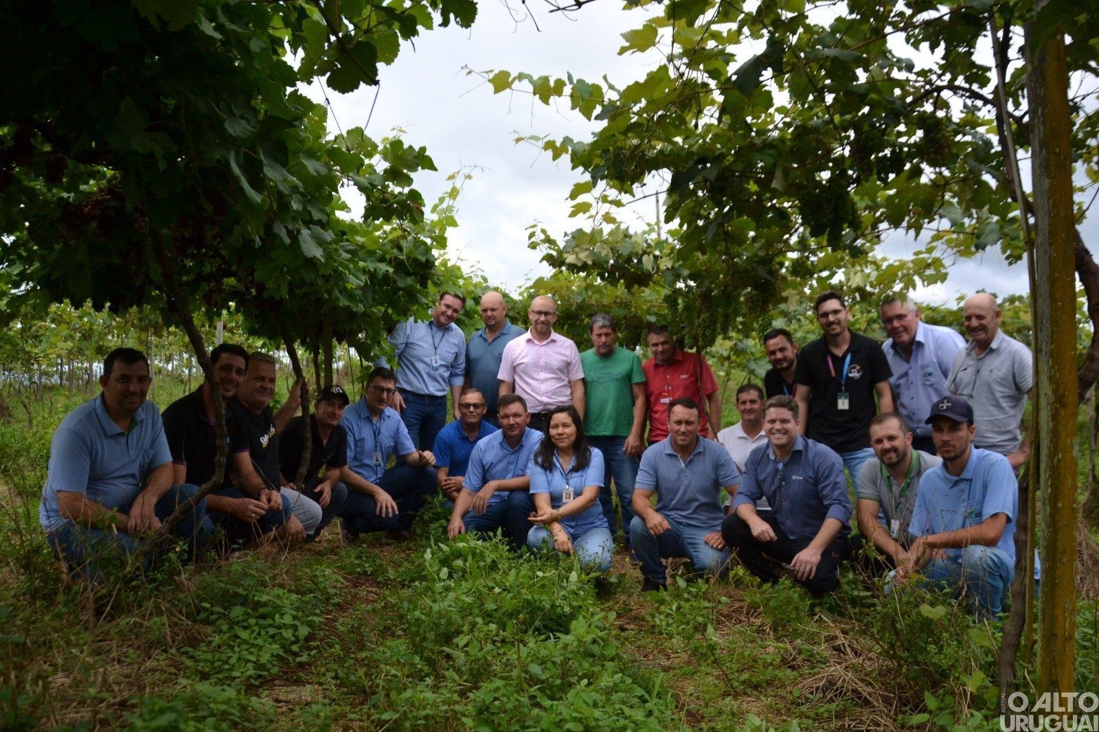 Ato simbólico marca a abertura oficial da colheita da uva em Ametista do Sul