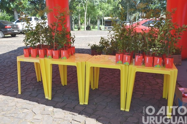 Evento realizado pela Creluz em Pinhal marca o Dia da Árvore