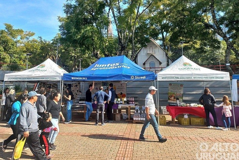 Sabadão dos Negócios celebra o Dia Internacional do Cooperativismo