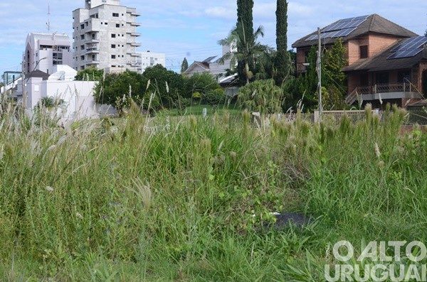 Retomadas regras para limpeza e manutenção de terrenos em FW