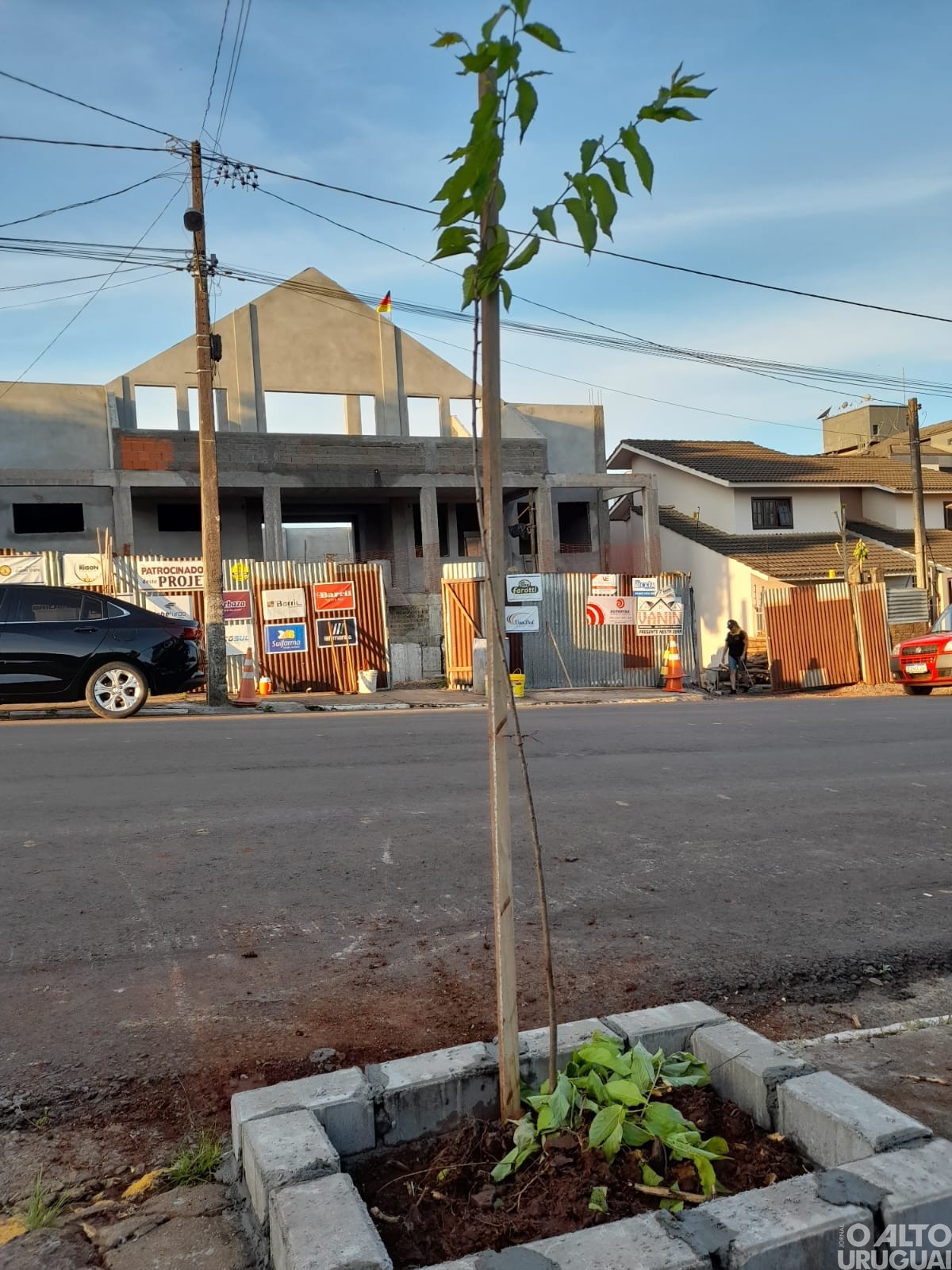 Centro Cultural 25 de Julho realiza projeto de arborização em FW