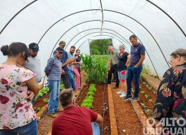 Tecnologias e inovações na olericultura são destaques de dia de campo em FW