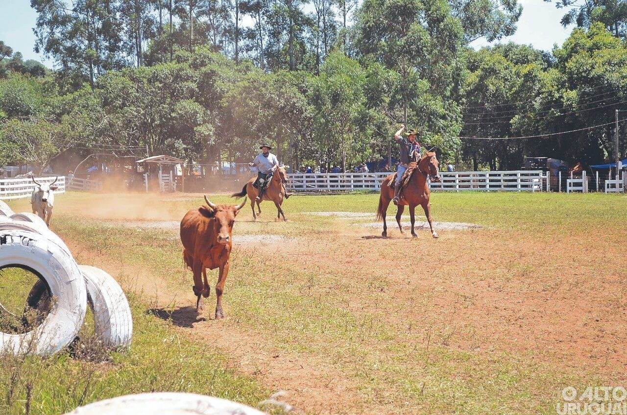Projeto protocolado por deputado gera polêmica entre tradicionalistas