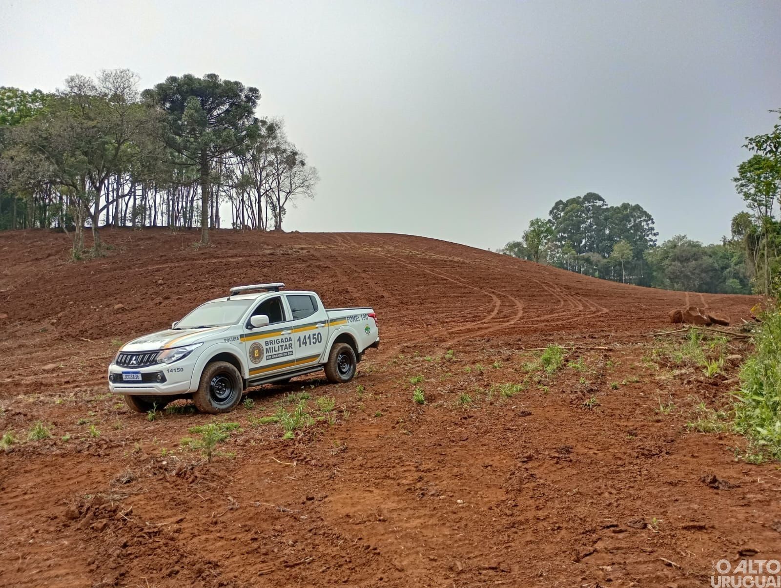 Erval Seco: flagrado desmatamento em Área de Preservação Permanente