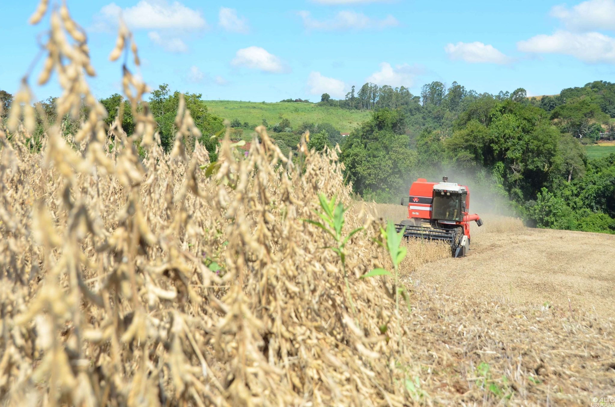 Produção agrícola deve atingir 269,3 milhões de toneladas