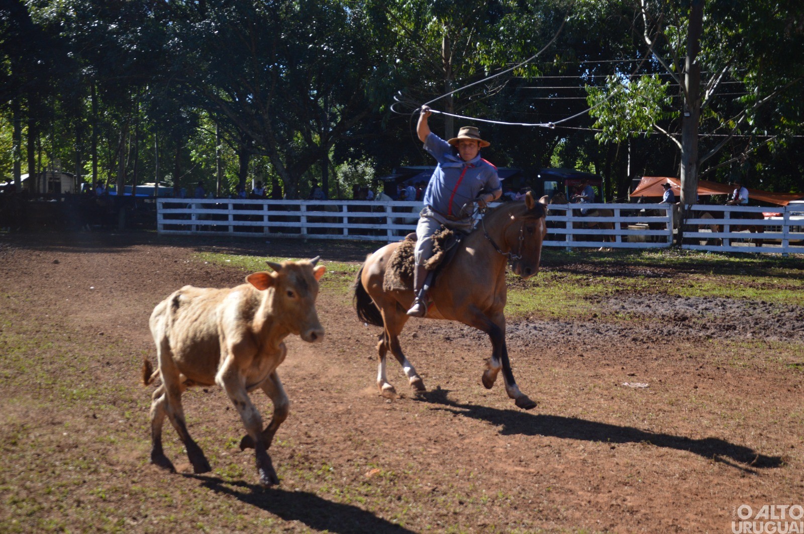 Rodeio Crioulo de FW encerra neste domingo