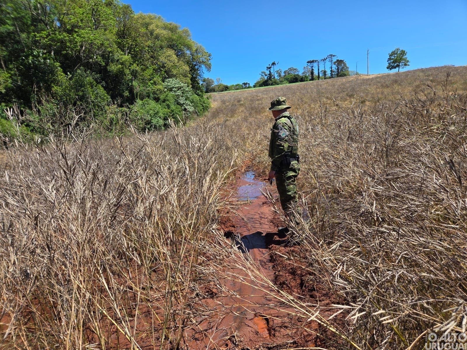Poluição é flagrada em Boa Vista das Missões