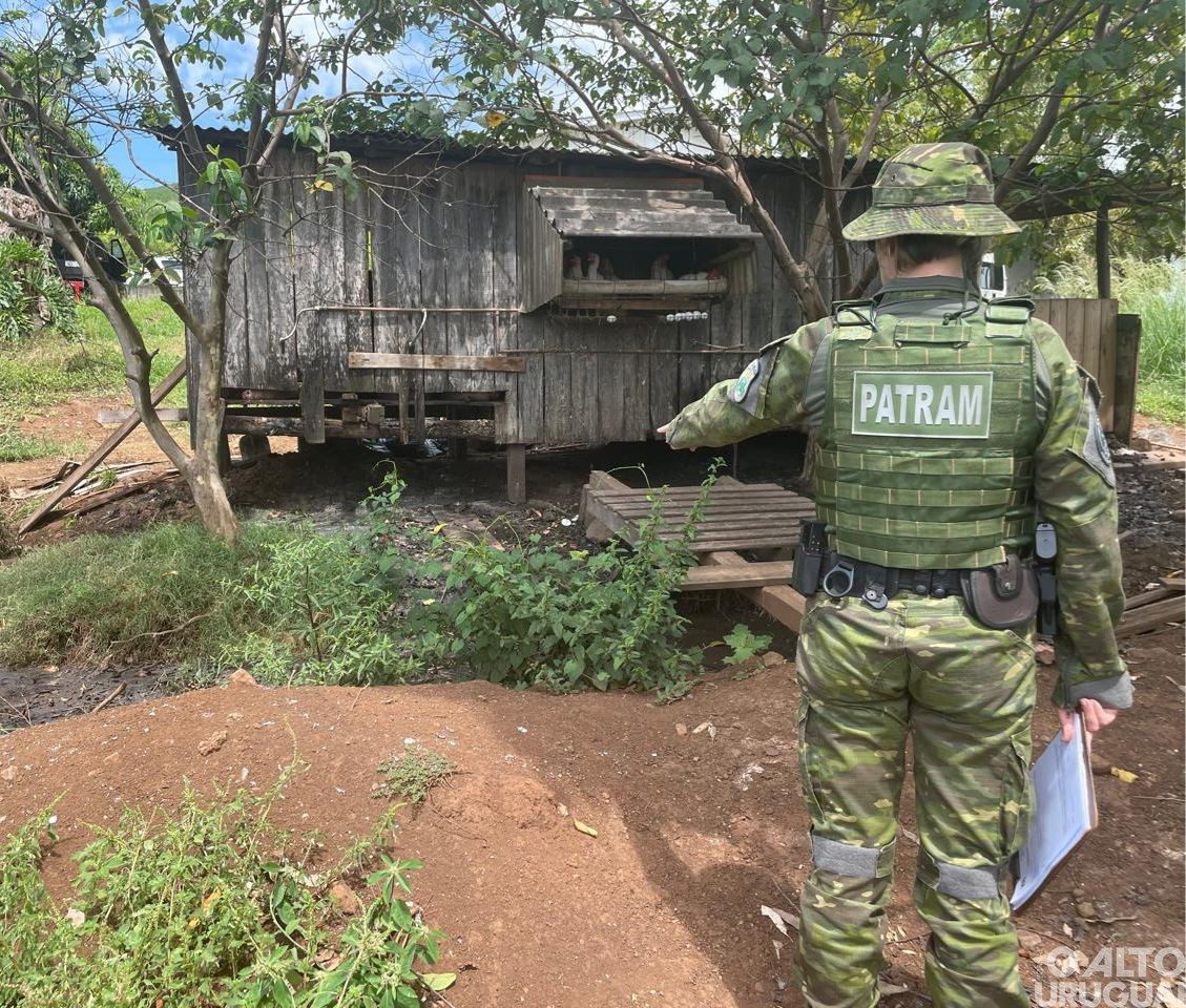 Brigada Militar flagra crimes em Seberi