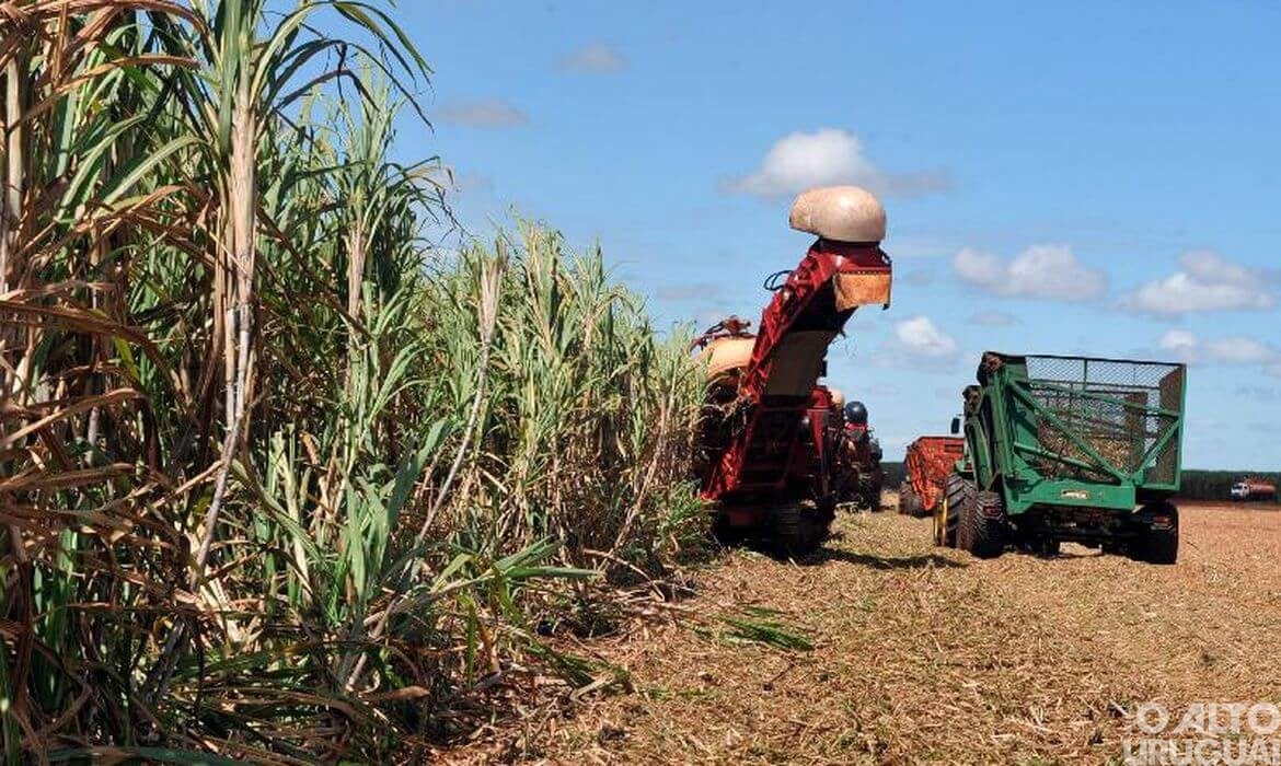 Conab reduz estimativa para produção de grãos da safra 2021/2022
