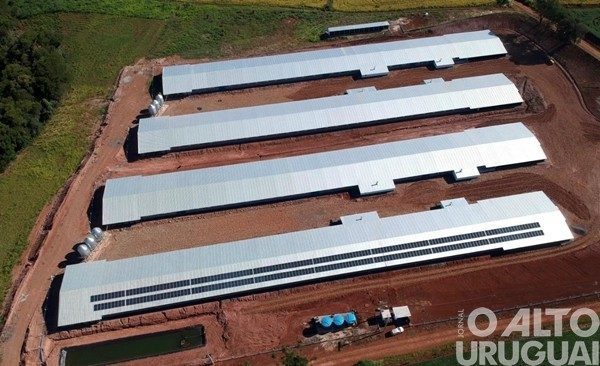 70% das granjas da Seara já utilizam energia solar