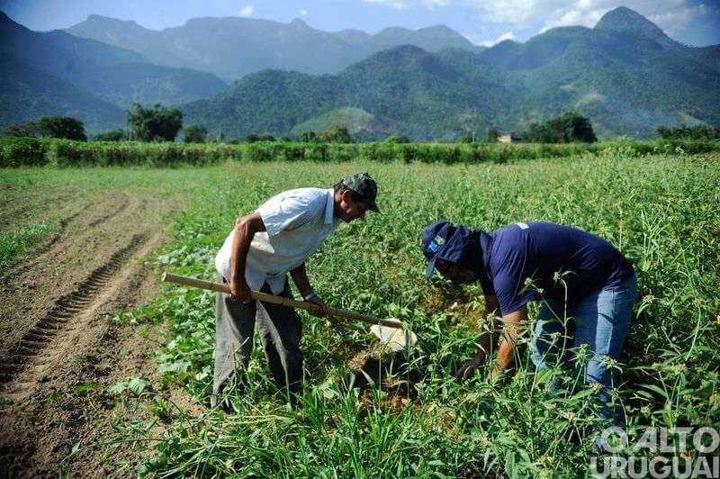 Programa de liquidação de crédito voltado à agricultura familiar entra em atividade