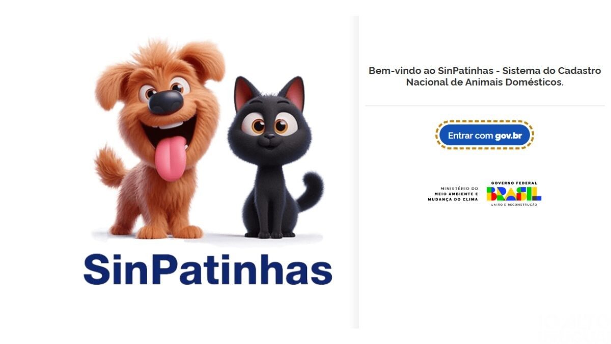 Animais domésticos terão identidade nacional a partir de 2025