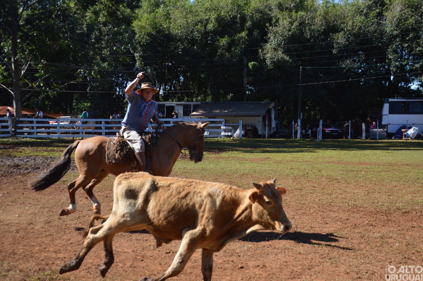 Rodeio Crioulo de FW encerra neste domingo