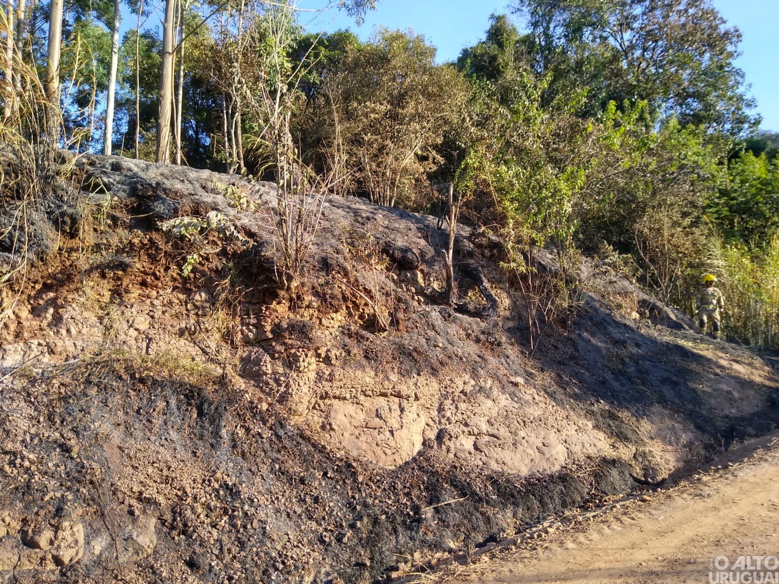 Bombeiros de FW são acionados para controlar incêndio em vegetação