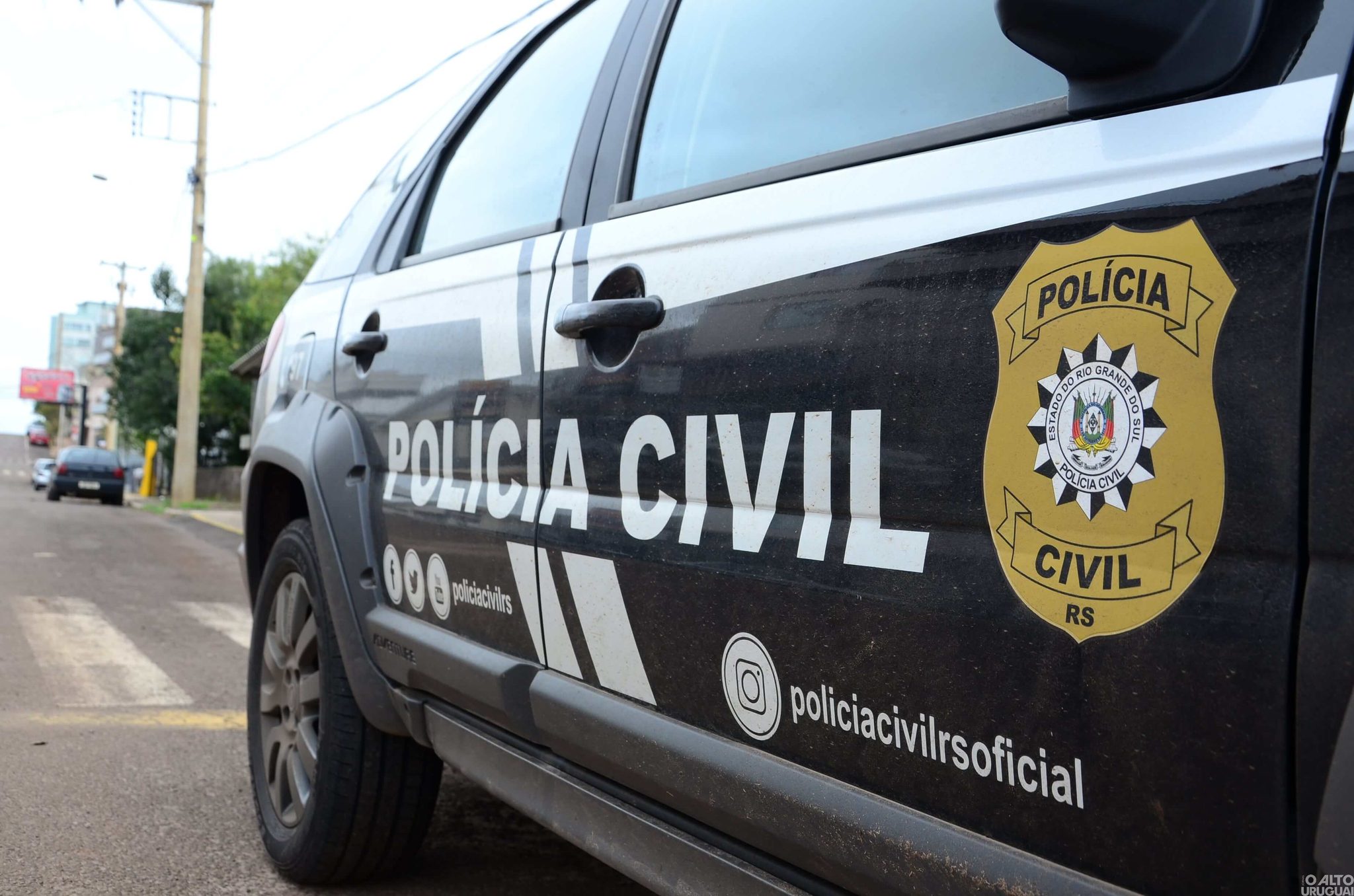 Furtos e estelionatos lideram ocorrências em 2022