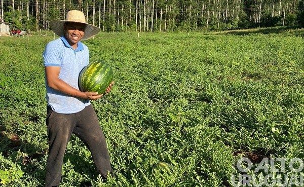 Produtores investem na diversificação nas pequenas propriedades rurais