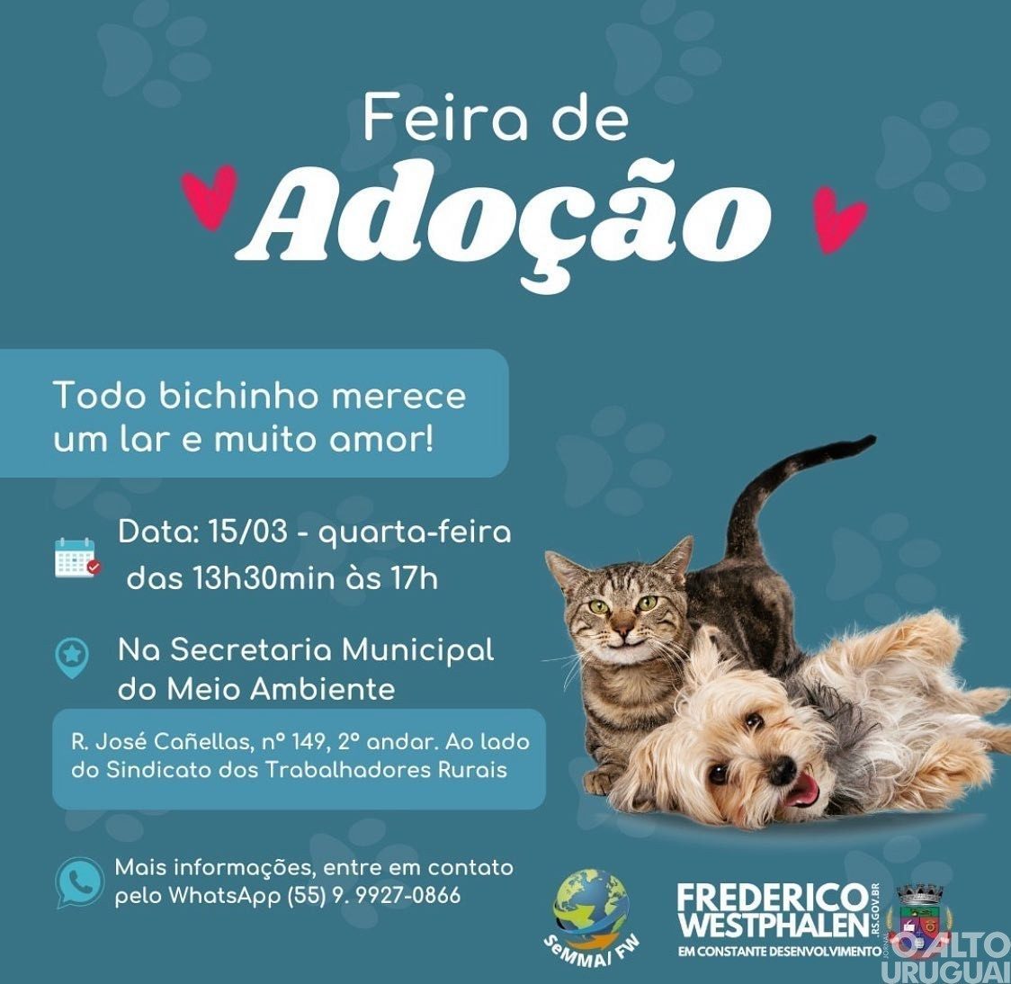 Prefeitura de FW realiza feira de adoção de pets